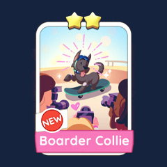 S10-5 Boarder Collie